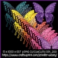 Noisy Butterflies-Exotic