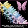 Noisy Butterflies-Romantic