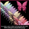 Noisy Butterflies-Sweet