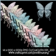 Noisy Butterflies Succulants