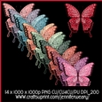Noisy Butterflies Succulants Bright