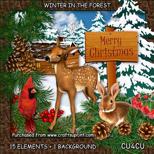 WINTER IN THE FOREST - DESIGNER RESOURCE