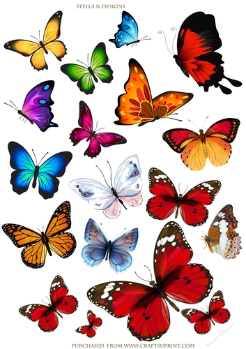 BUTTERFLIES 1 - DECOUPAGE