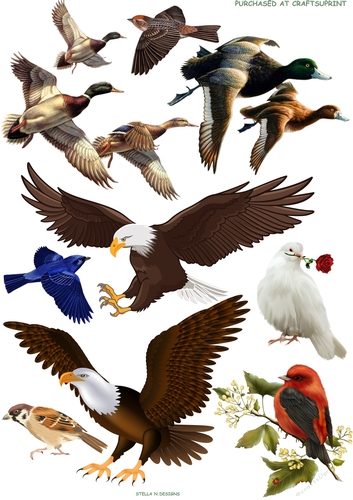 VINTAGE BIRDS 1