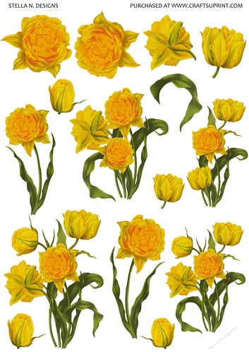 DUTCH GOLD CABBAGE TULIPS DECOUPAGE