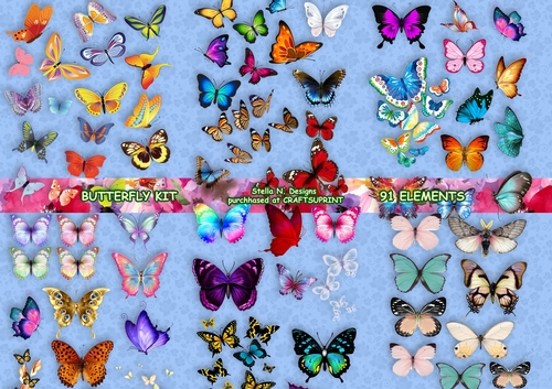 BUTTERFLY KIT