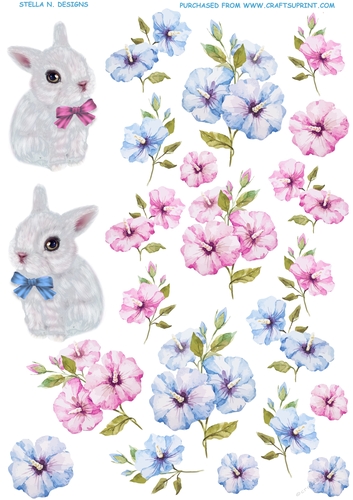 MORNING GLORIES AND BUNNIES