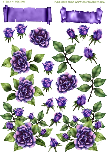 ROSE ANTIQUE PURPLE