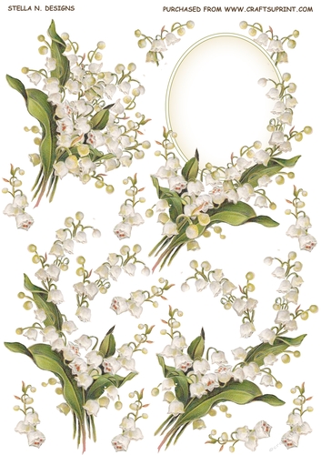 LILY OF THE VALLEY