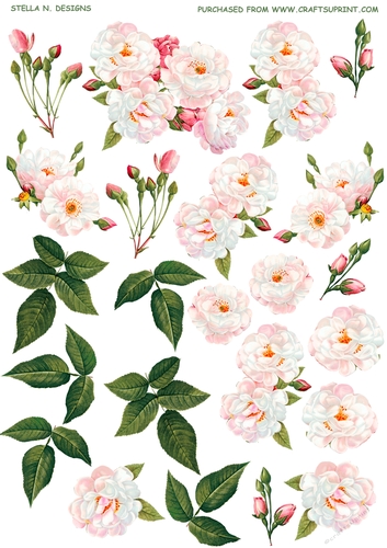 VINTAGE HEDGE ROSES