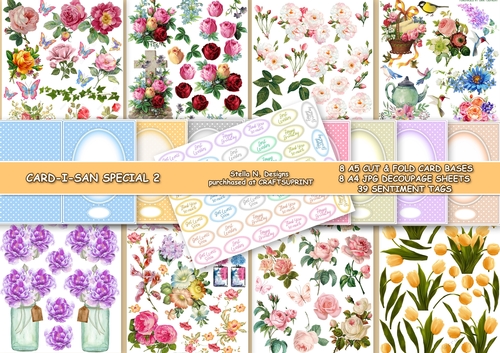 CARD-I-SAN SPECIAL 2 KIT