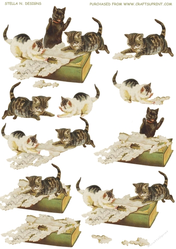 PLAYFUL VINTAGE MINKIES