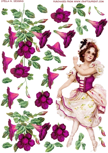 MORNING GLORY DANCER PINK