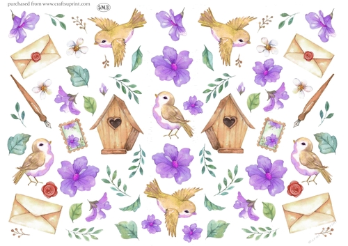 LITTLE BIRDY PURPLE