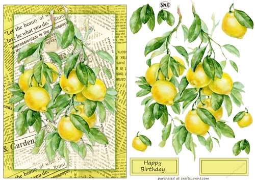 BOTANICAL LEMONS DECOUPAGE TOPPER