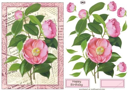 BOTANICAL CAMELIA DECOUPAGE TOPPER