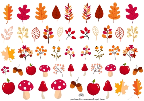FOREST TREASURES 1