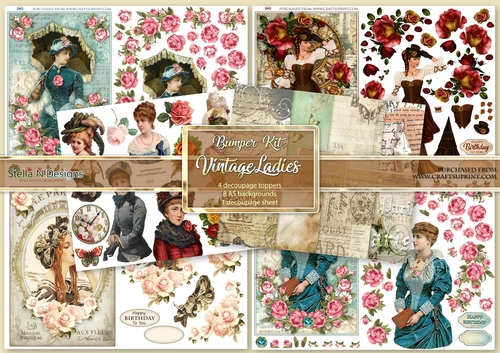 VINTAGE LADIES BUMPER KIT