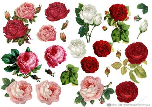 VINTAGE CABBAGE ROSES RED