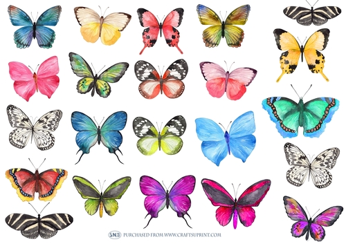 WATERCOLOR BUTTERFLIES 