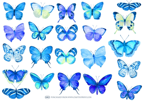 WATERCOLOR BUTTERFLIES BLUE