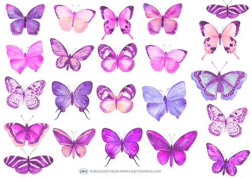 WATERCOLOR BUTTERFLIES PINK