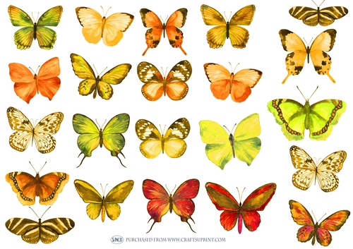 WATERCOLOR BUTTERFLIES YELLOW