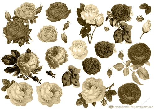 VINTAGE CABBAGE ROSES SEPIA