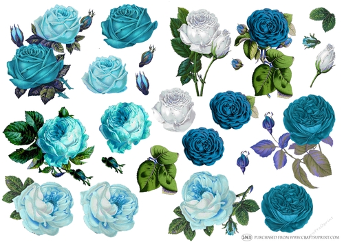 VINTAGE CABBAGE ROSES BLUE