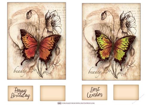BUTTERFLY BEAUTY TOPPERS