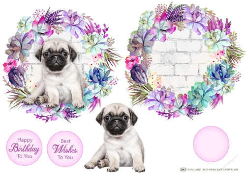 CACTUS PUPPY 1 DECOUPAGE TOPPER
