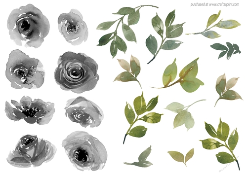 WATER COLOR ROSES BLACK