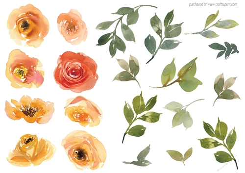 WATERCOLOR ROSES ORANGE