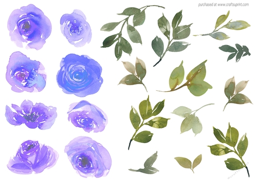 WATERCOLOR ROSES PURPLE