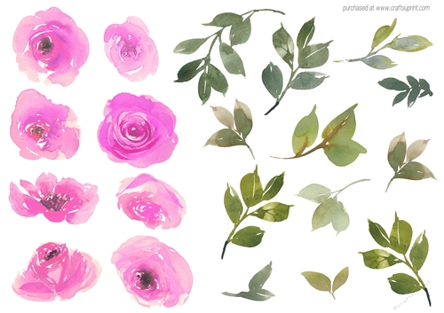WATERCOLOR ROSES PINK