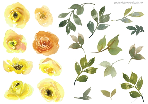 WATERCOLOR ROSES YELLOW
