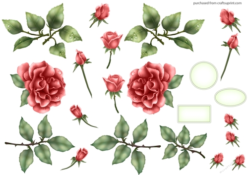 ELEGANT ROSE DECOUPAGE PEACH