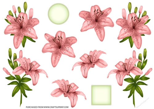 ROYAL LILIES DECOUPAGE PEACH
