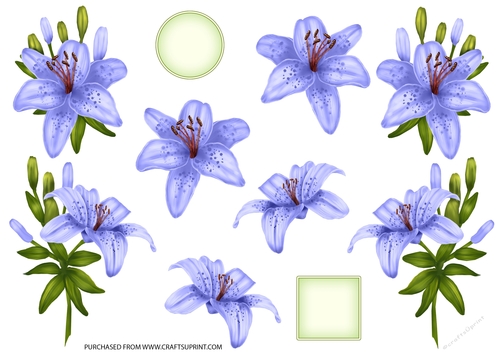 ROYAL LILIES DECOUPAGE BLUE
