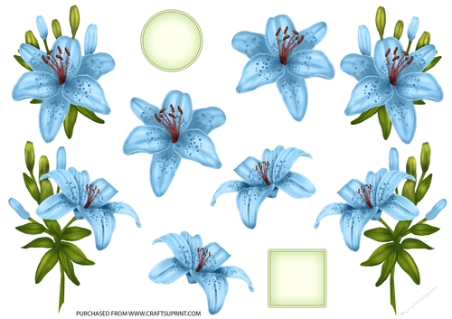 ROYAL LILIES DECOUPAGE TEAL