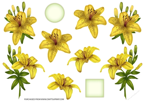 ROYAL LILIES DECOUPAGE YELLOW