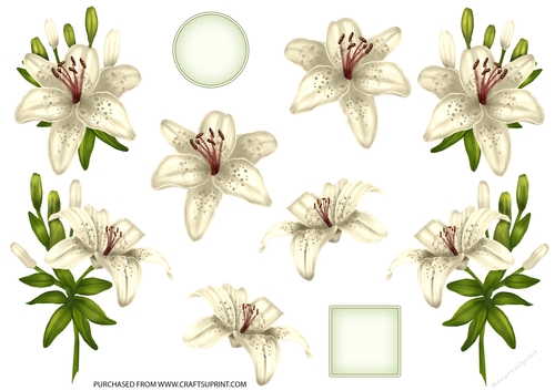 ROYAL LILIES DECOUPAGE WHITE