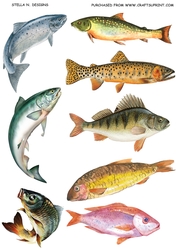 GOOD CATCH DECOUPAGE