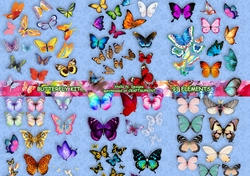 BUTTERFLY KIT