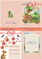 BUNNY GREETINGS 2 CUT & FOLD MINI KIT
