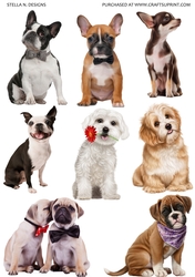 PUPPY LOVE 1
