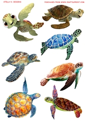 SEA TURTLES