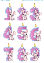 BUNNY NUMBERS