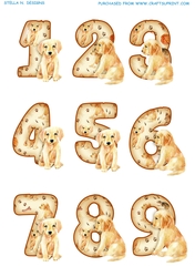 PUPPY NUMBERS