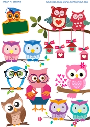 OWL SCHOOL